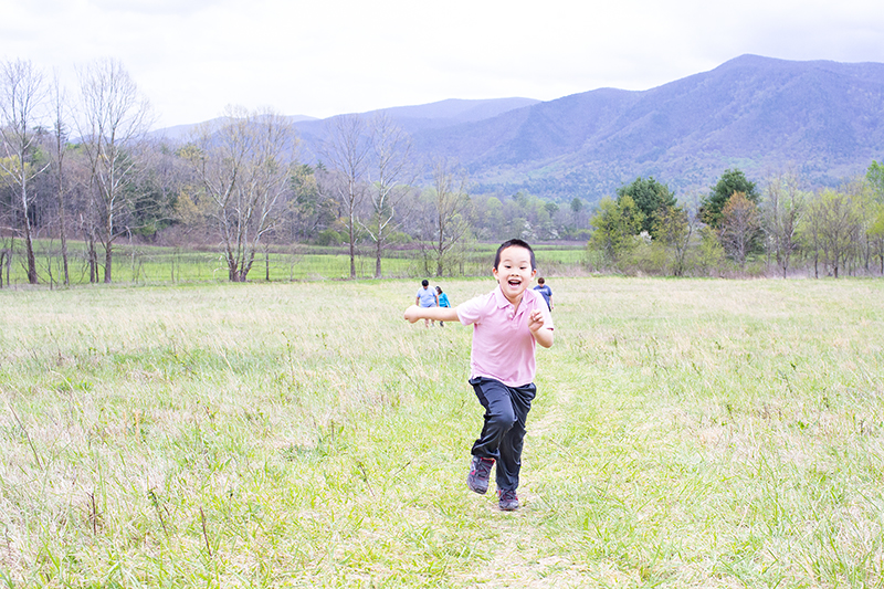 greatsmokymountains