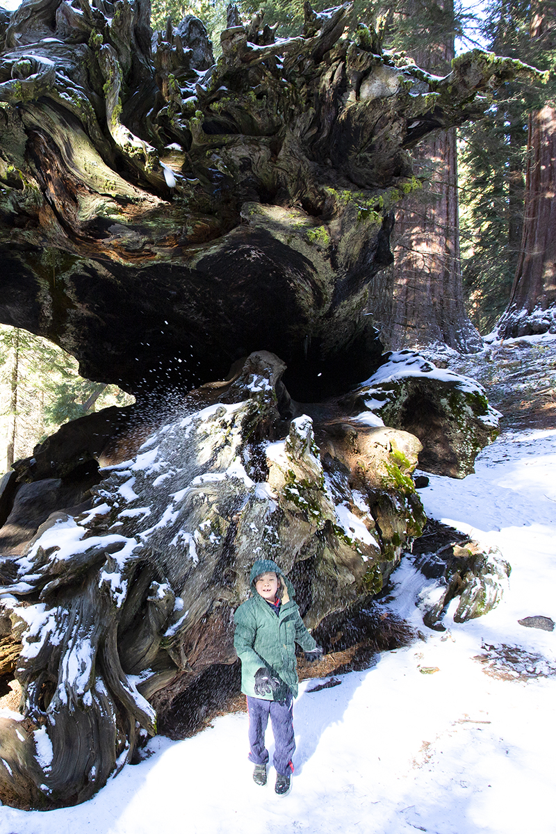 kingscanyon
