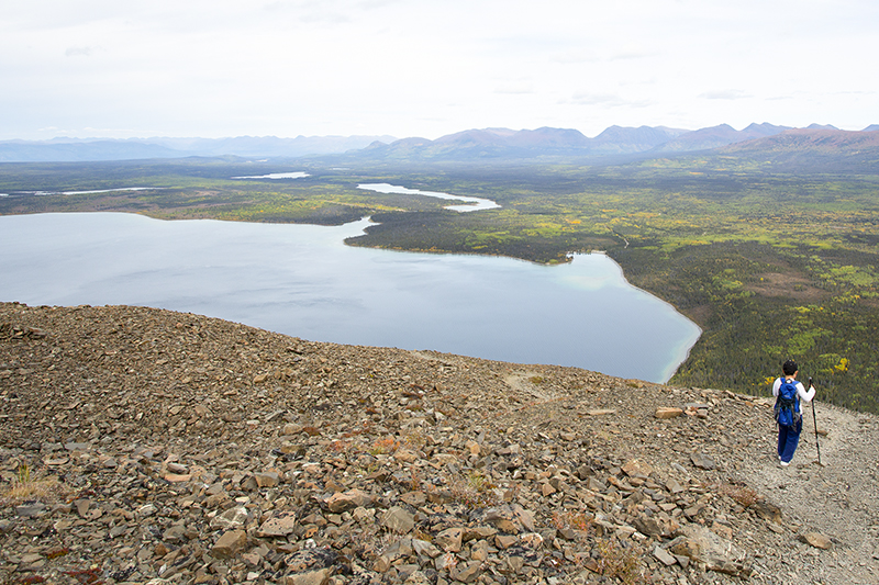kluane